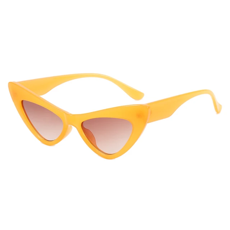 Zara Women's Small Cat-Eye Frame UV400 Sunglasses