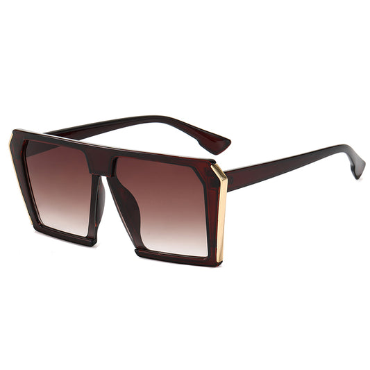 SYDNEY SHIELD FRAMES - BROWN